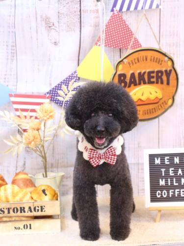 20240907ラブくん